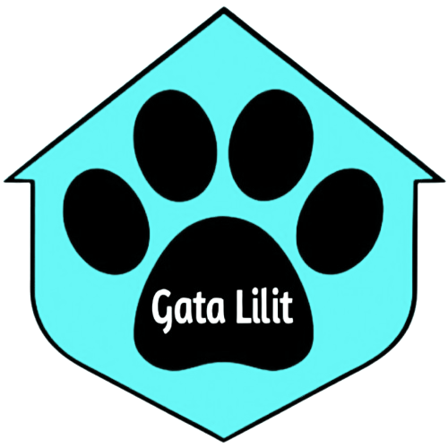 Asociación Gata Lilit